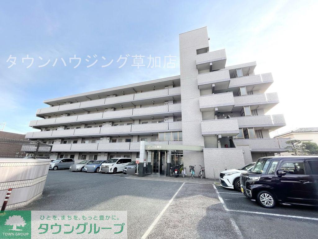 ピエール草加