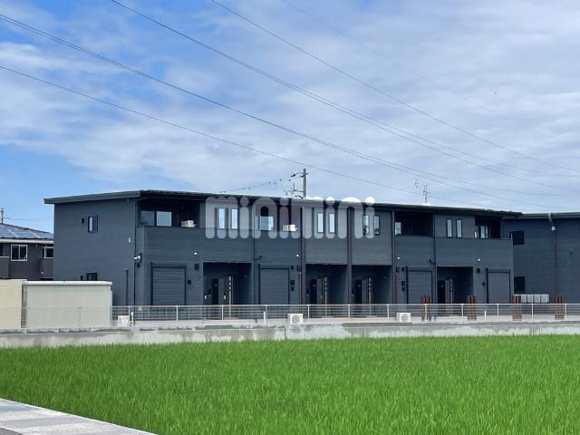 ベルカーナ 幸