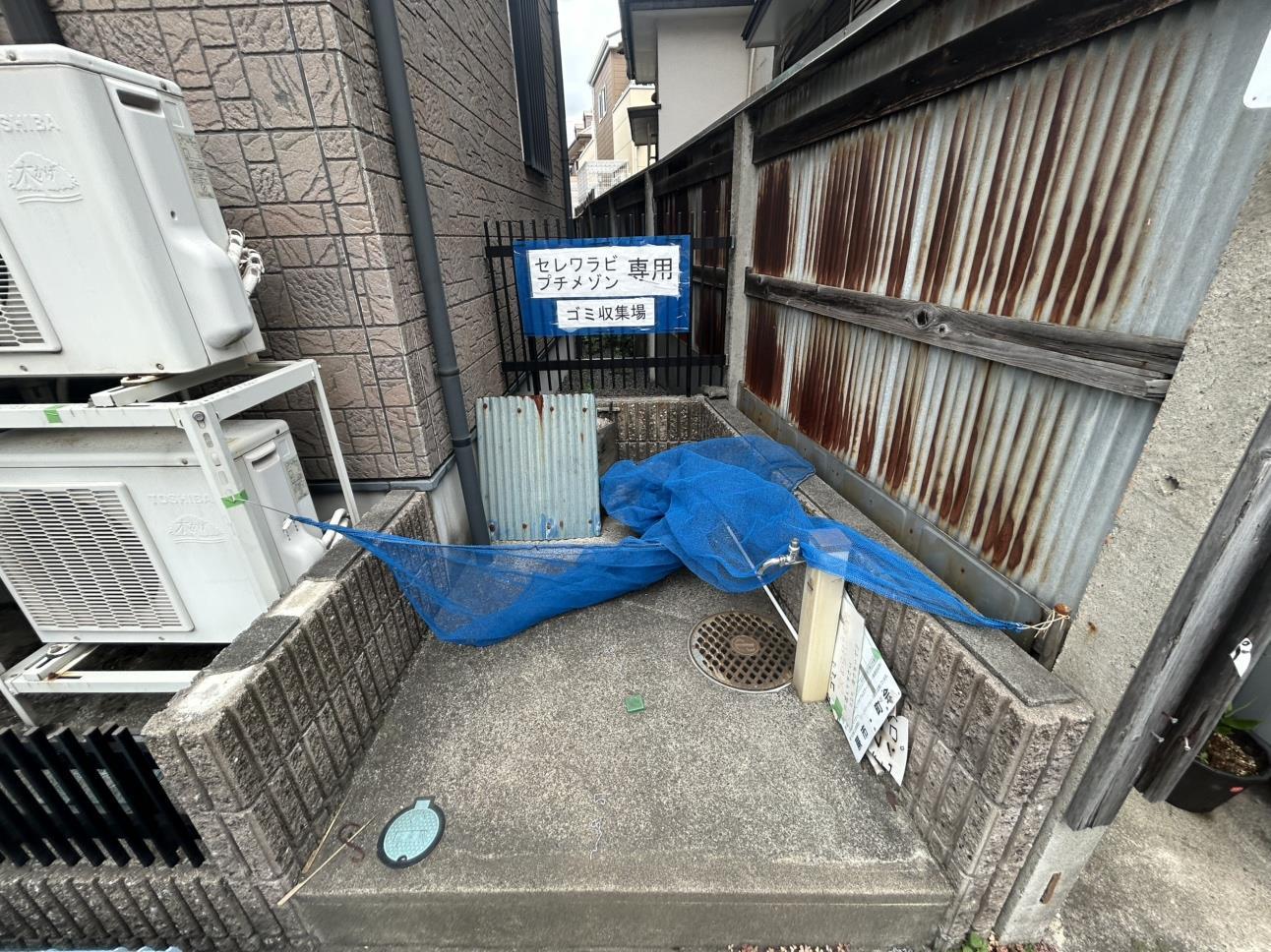セレワラビ