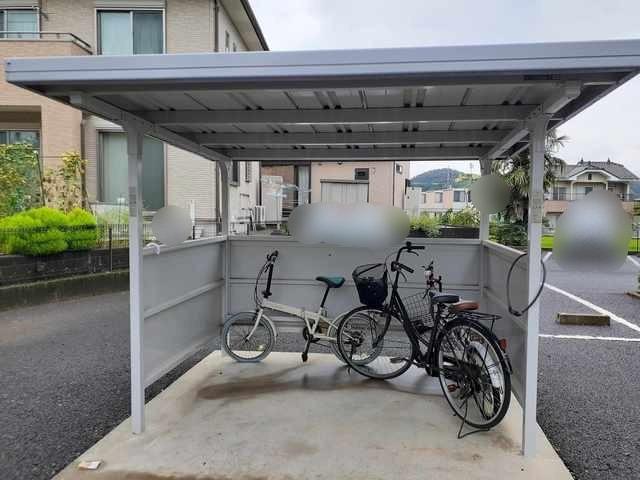 エヴァーグリーン