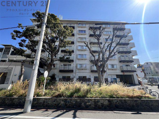 FOREST COURT ITAMI