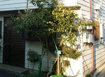 京王線 北野駅(東京) 徒歩7分 2階建 築38年