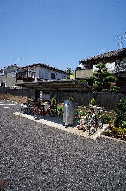 エクセレント リリー Y