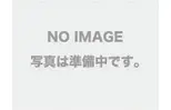 ミースI