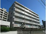 シャルム和知川原