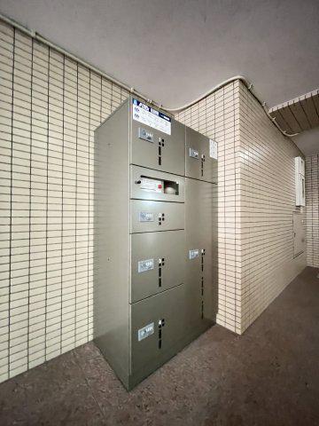 プラシードYS