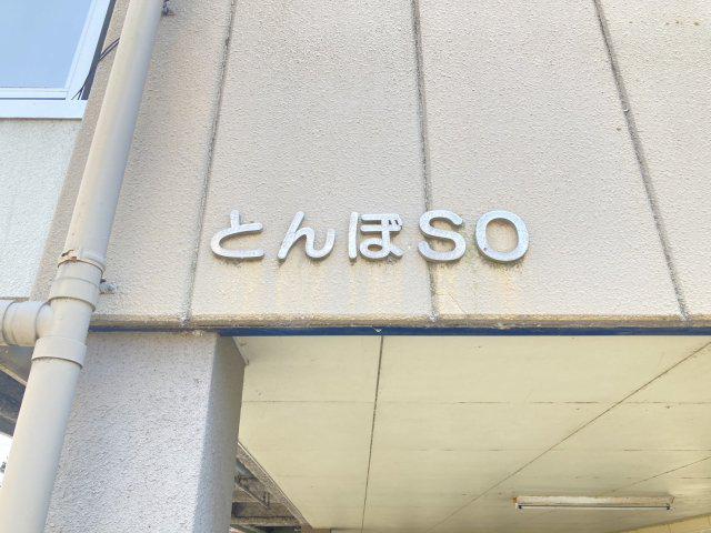 とんぼSO
