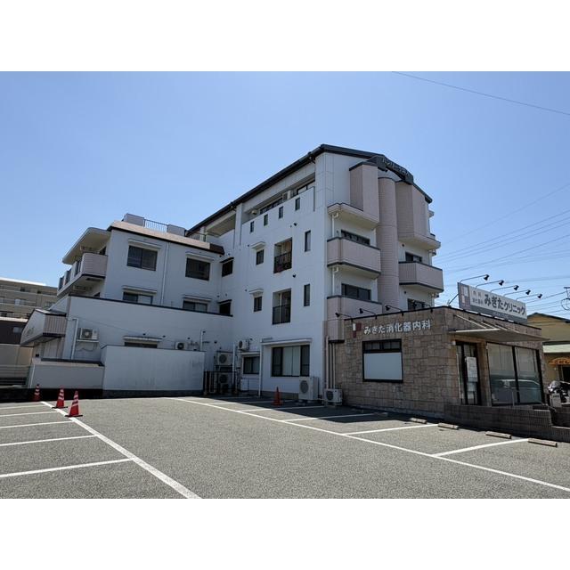 ハンリーラ円入