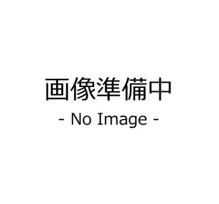 エスワイティ枡形(1K/4階)の間取り写真