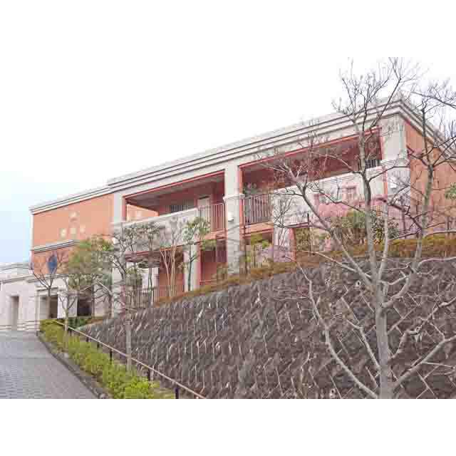 アデニウム葉山一色