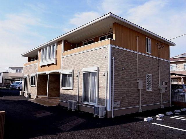 ダンデライオンB
