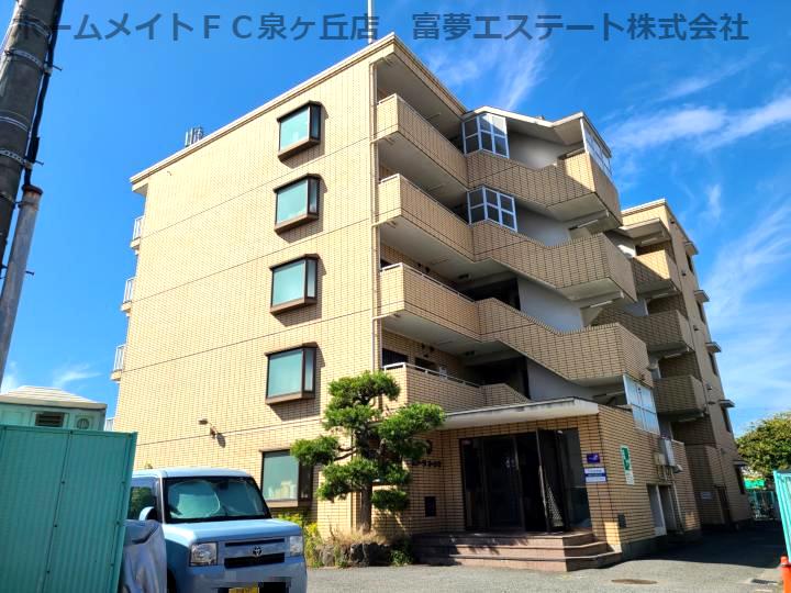 カターラオーシマ