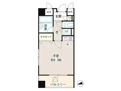 六本木プレイス(ワンルーム/6階)の間取り写真