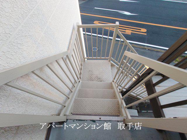 ヴィライースト