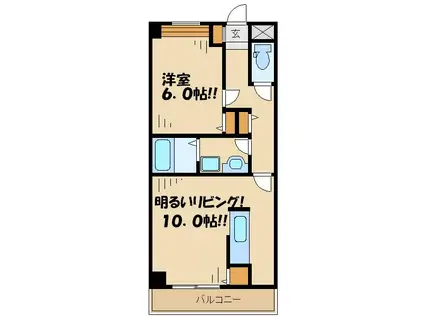CK HOMES(1LDK/1階)の間取り写真