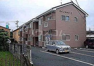 パイン・トゥリーI