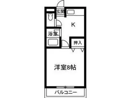 サンラフィネ(1K/2階)の間取り写真