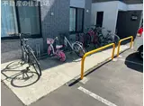 セレスティア澄川