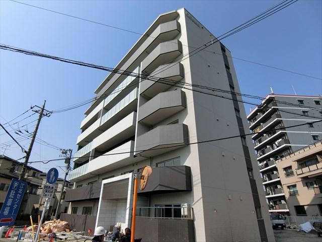 ホワイル椿