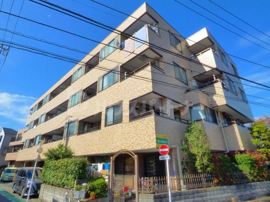 ピュアパルム