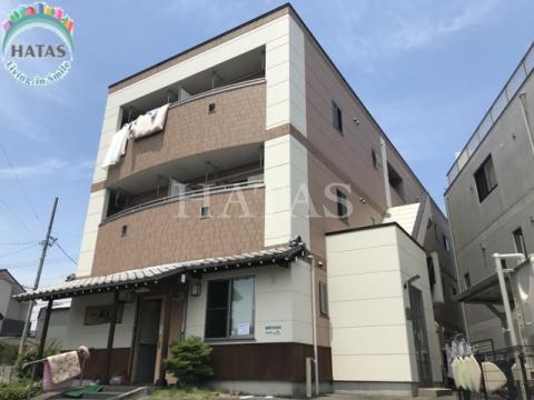 グレース エヌ