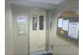 ルネ藤の森