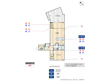 ACP RESIDENCE 新江古田(1SLDK/B1階)の間取り写真