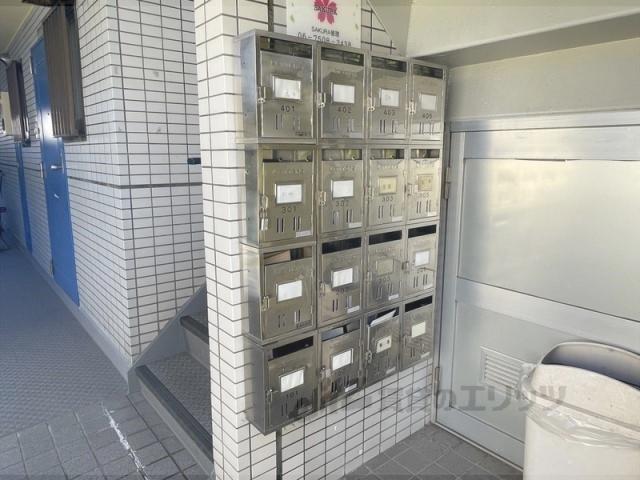 ペントハウス11