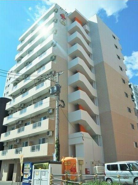セントポーリア カルーア