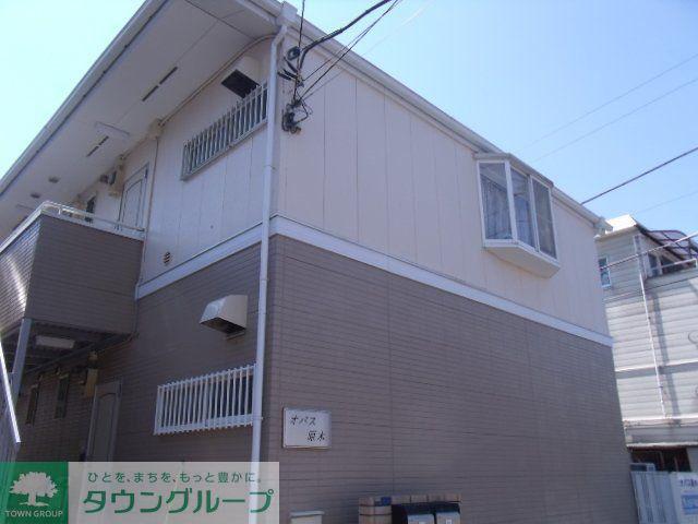 オパス原木