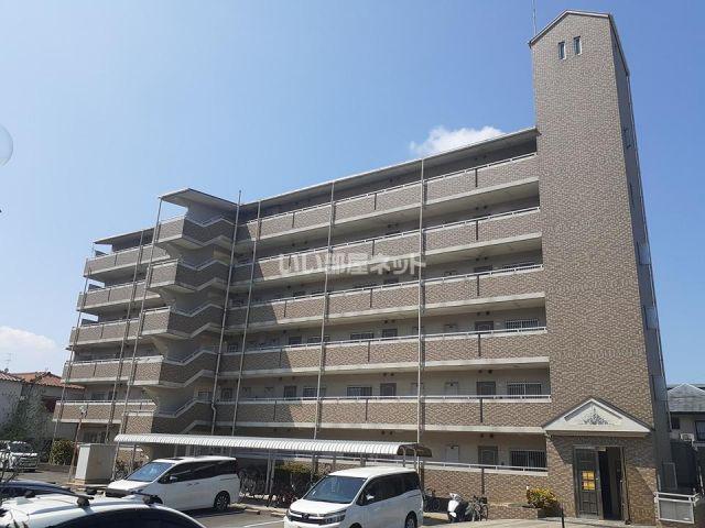 アフロディ布市