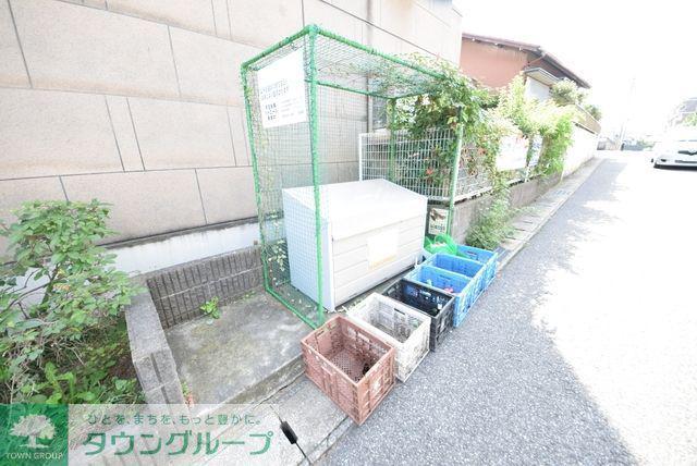 シャトレシラハタ