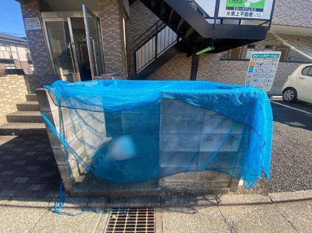 マロードジュネス