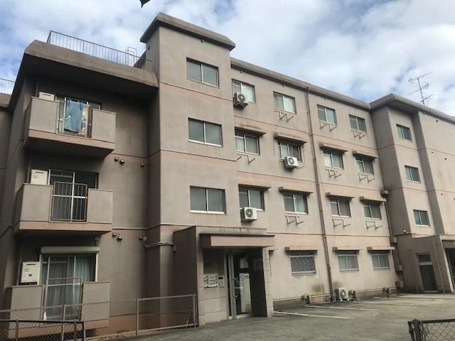 アメリア