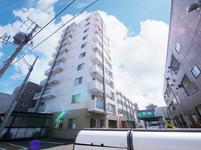 SAPHIR菊水