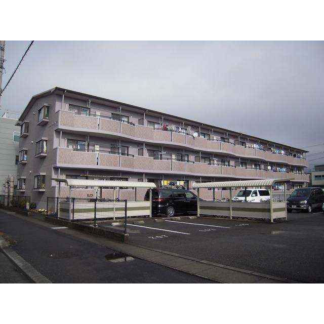 サンセールパイン