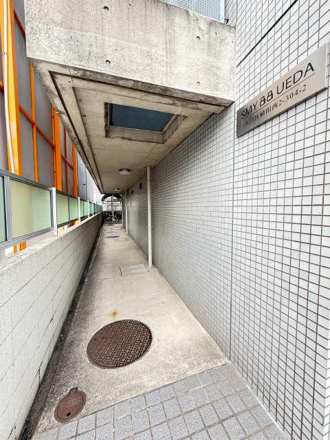 SMY88植田