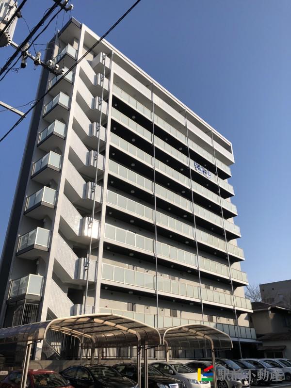 ウィリングコージー