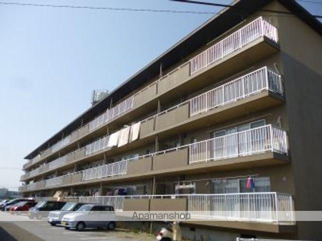 サルヴァトーレ花ヶ島
