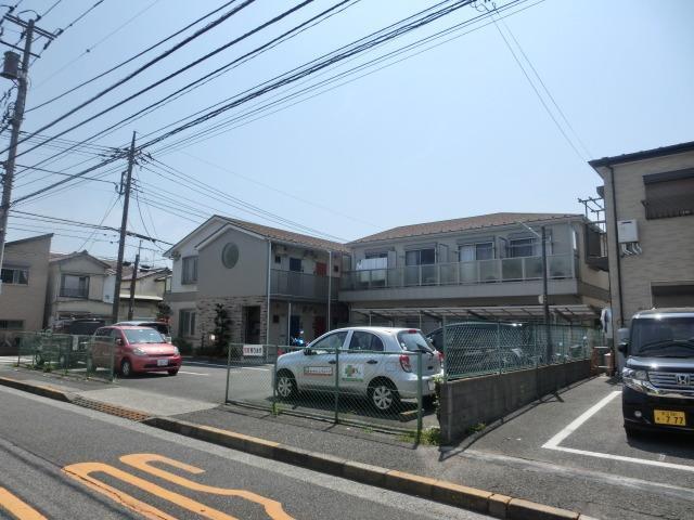 リリックコートサンフラワー