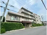 サエラ宮原
