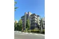 コリンズ19