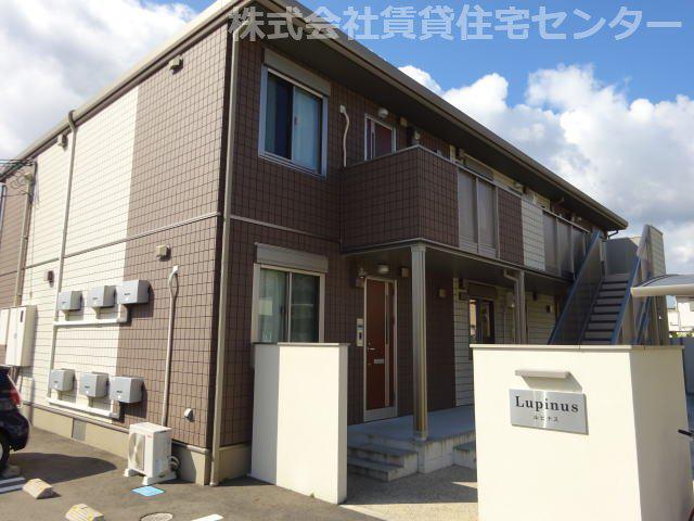 ルピナス