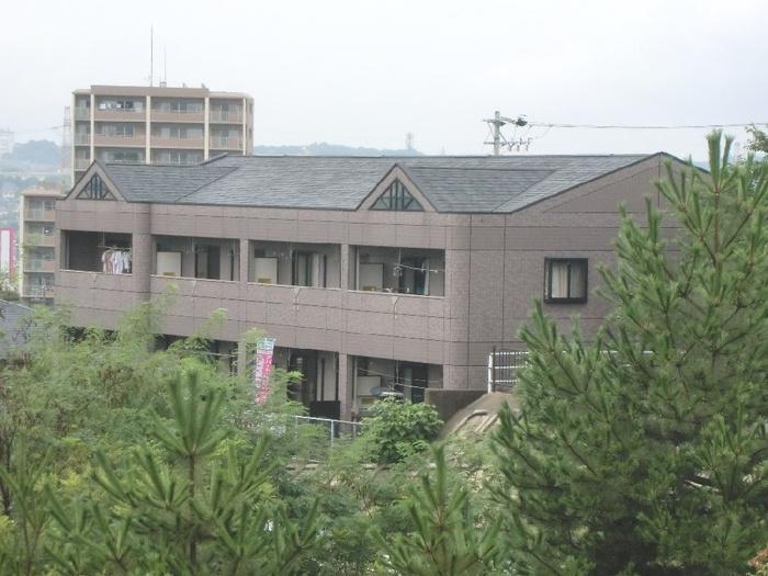 HILLS 天王台