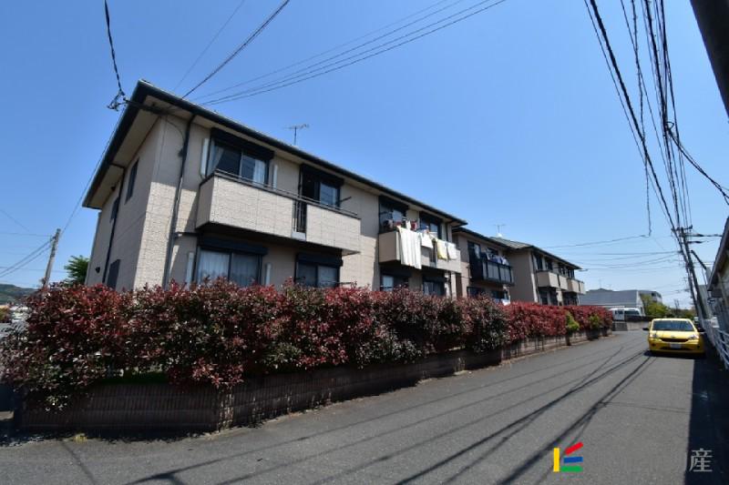 バリュージュシオンC