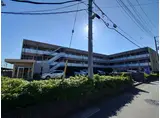 アンプルール彩華