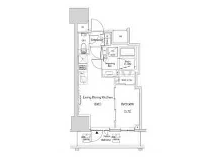 ザ・パークハビオ新中野(1LDK/7階)の間取り写真