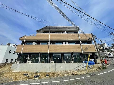 リリーセノラ