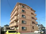 オーナメント
