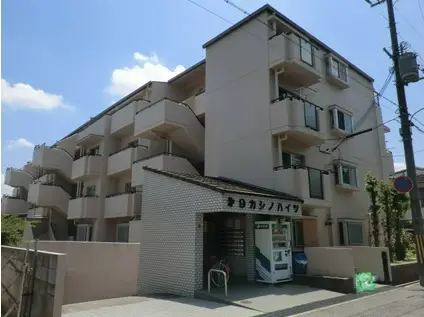 第9カシノハイツ(3LDK/4階)の外観写真